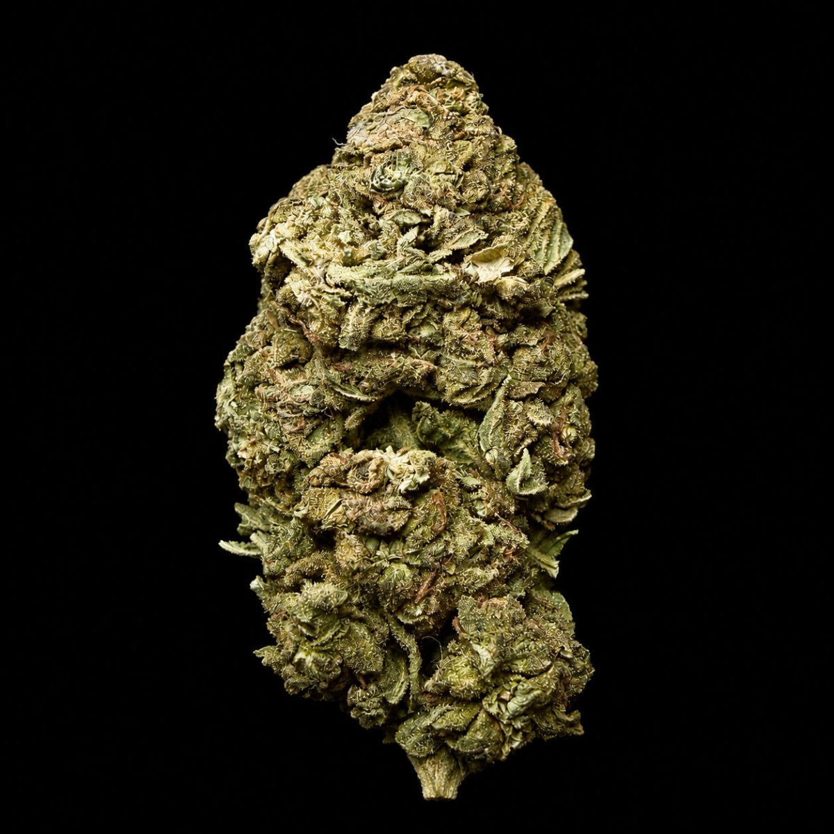 Wedding Cake THCA Flower - Lost In Translation