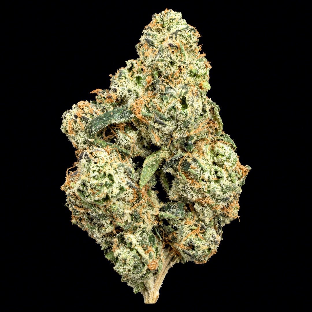 White Ash THCA Flower - Lost In Translation