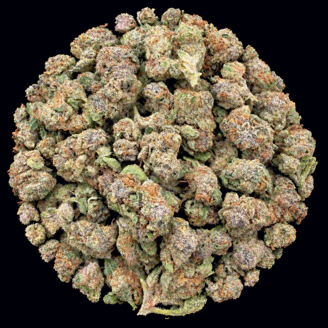 White Cherries THCA Flower - Lost In Translation