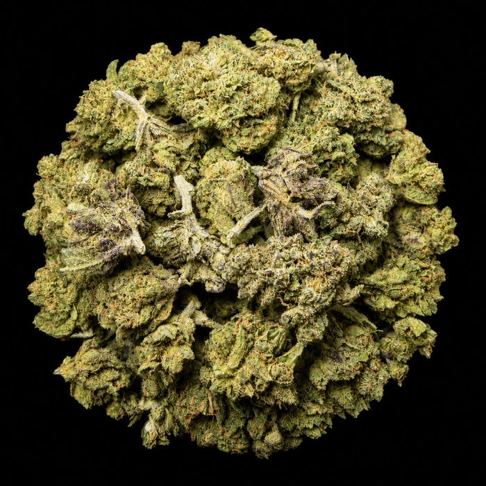 White Lemon THCA Flower