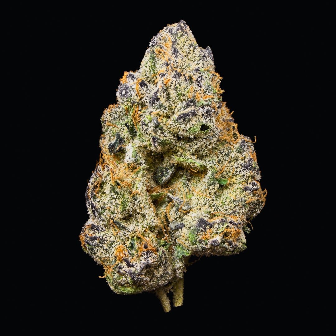 White Runtz THCA Flower - Lost In Translation