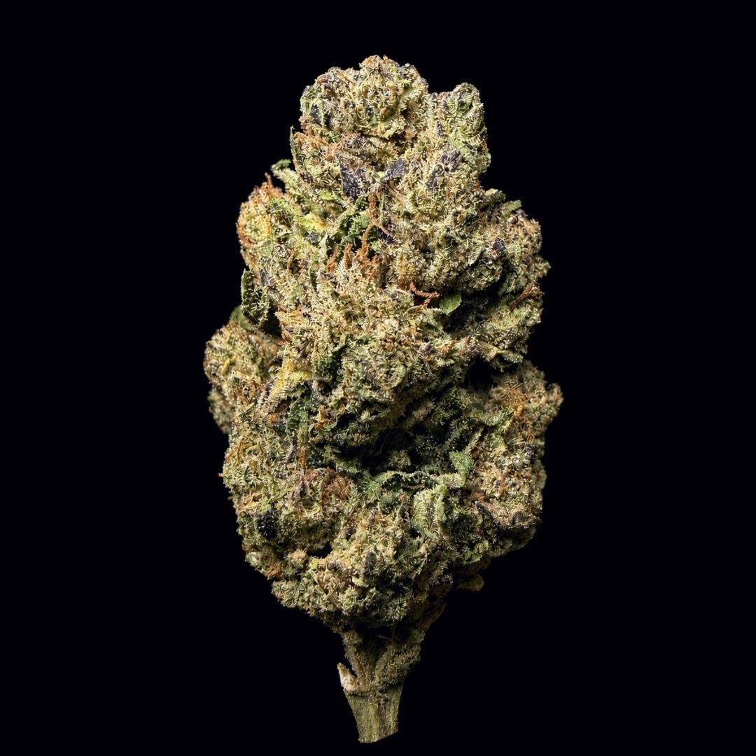 White Runtz THCA Flower - Lost In Translation