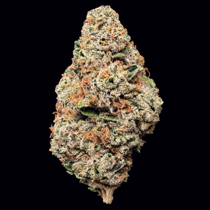 White Runtz THCA Flower - Lost In Translation