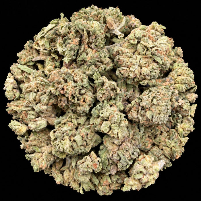 White Runtz THCA Flower