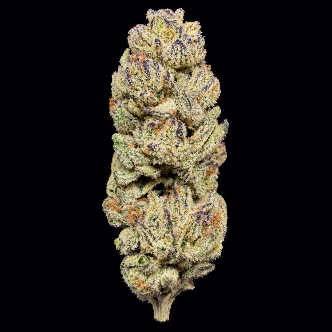 Wingsuit THCA Flower - Lost In Translation