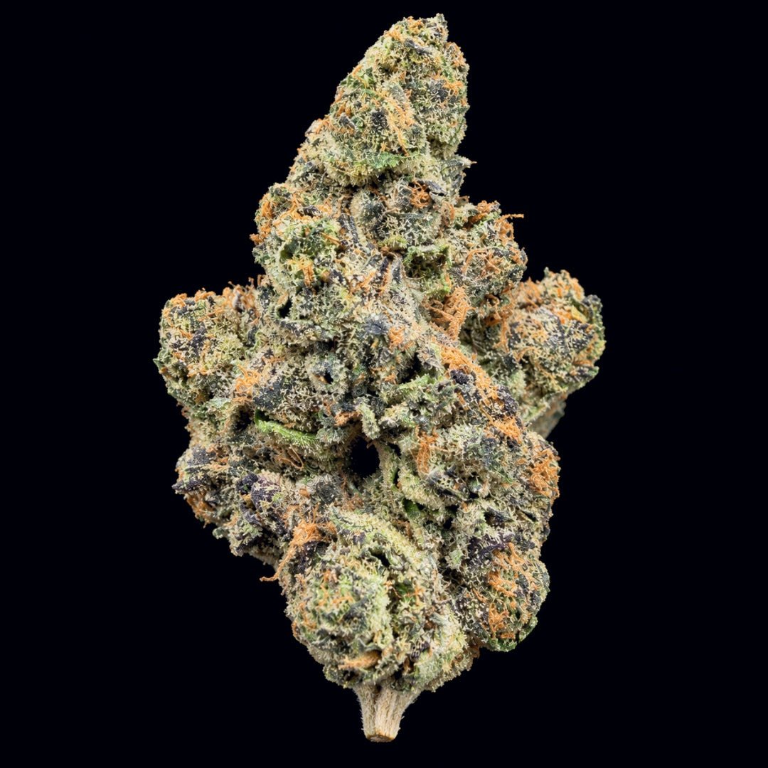 Z-Topia THCA Flower - Lost In Translation