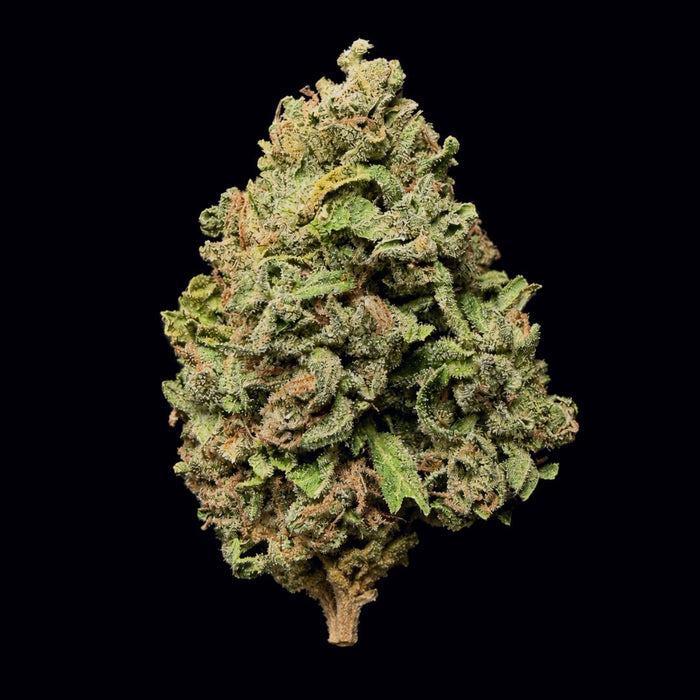 Zerbert THCA Flower - Lost In Translation