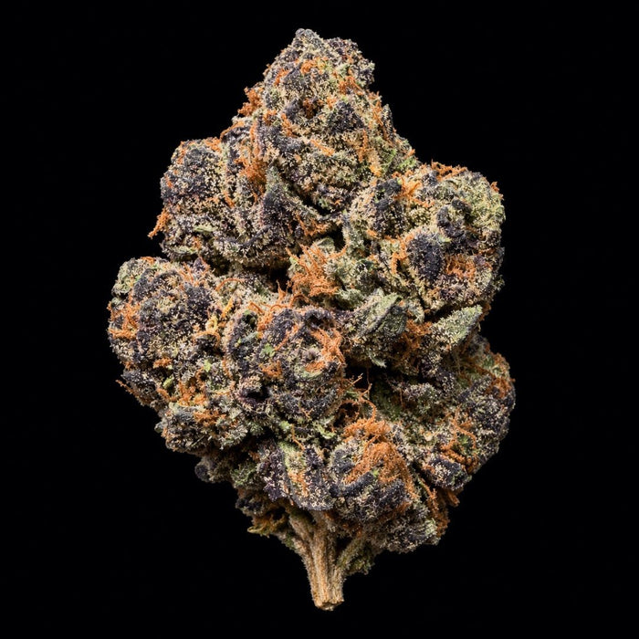 Zereal THCA Flower - Lost In Translation