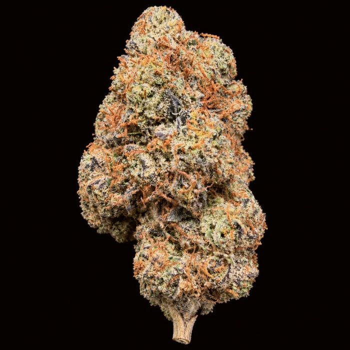 Zoap THCA Flower - Lost In Translation