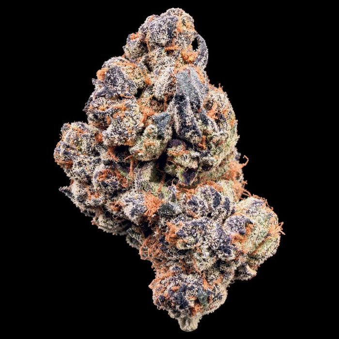 Zourz THCA Flower - Lost In Translation